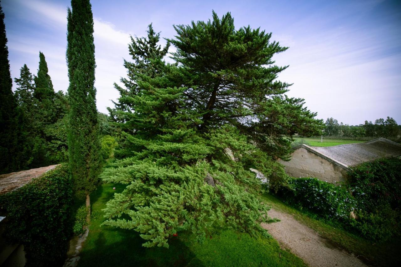 Masseria Perronello Country House Castellaneta Marina Εξωτερικό φωτογραφία